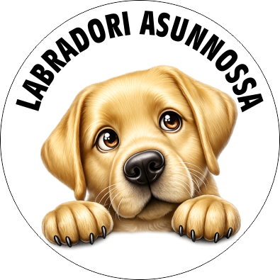 Labradorinnoutaja keltainen, tarra